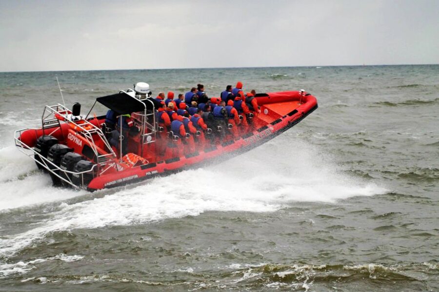 Reykjavik: Whale Watching by RIB Speedboat - Key points to know before you book