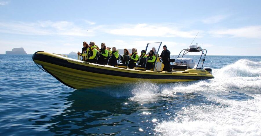 Reykjavik: Whale Watching by RIB Speedboat - Leaving Reykjavík’s Old Harbour by RIB