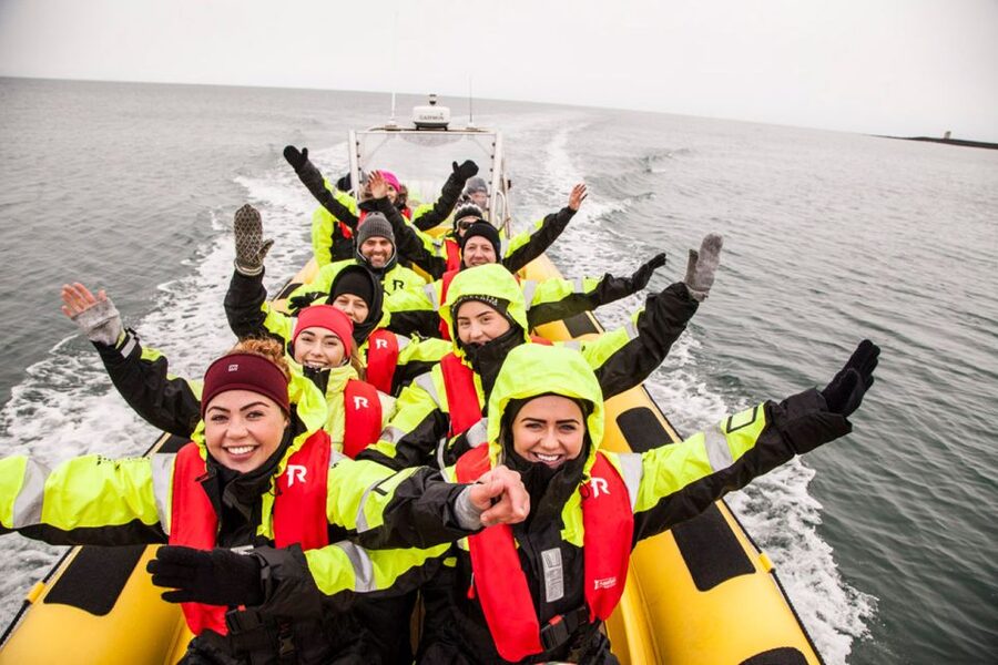 Reykjavik: Whale Watching by RIB Speedboat - Searching for whales, dolphins, and porpoises
