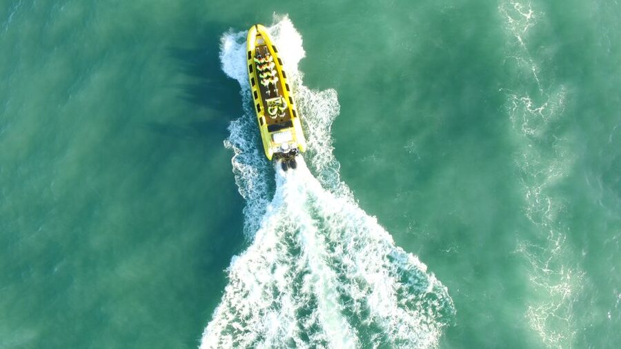 Reykjavik: Whale Watching by RIB Speedboat - Why the small boat changes the experience