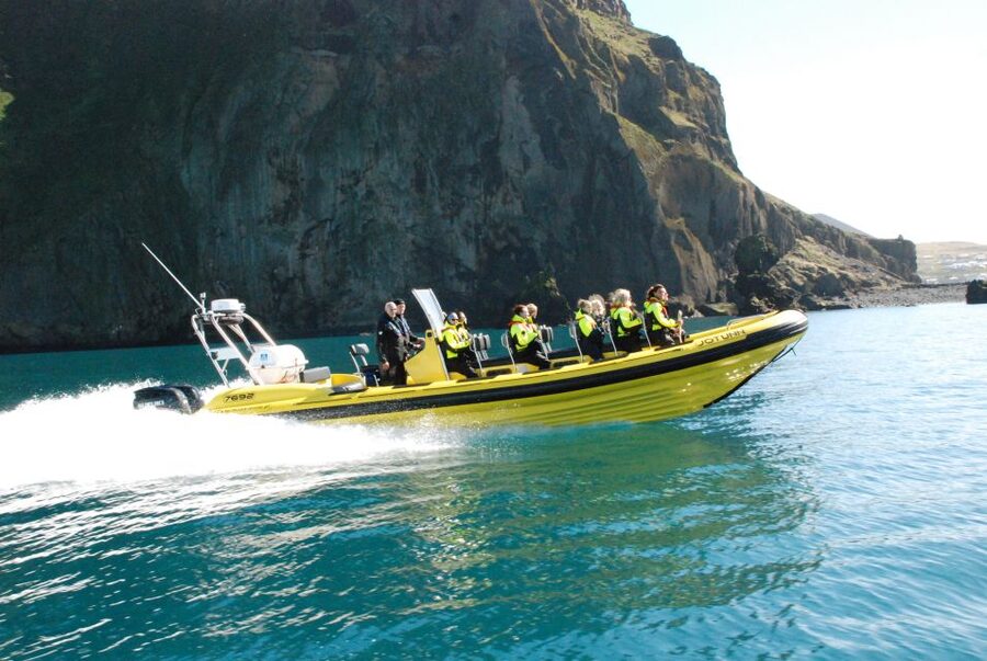 Reykjavik: Whale Watching by RIB Speedboat - Who should book this RIB safari?
