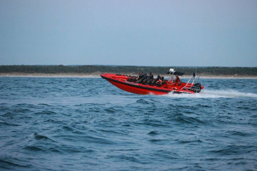 Reykjavik: Whale Watching by RIB Speedboat - Check-in, cancellations, and practical planning