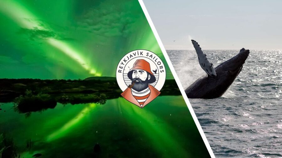 Reykjavik: Whale Watching & Northern Lights Combo Cruise - Two very different views of Faxaflói Bay