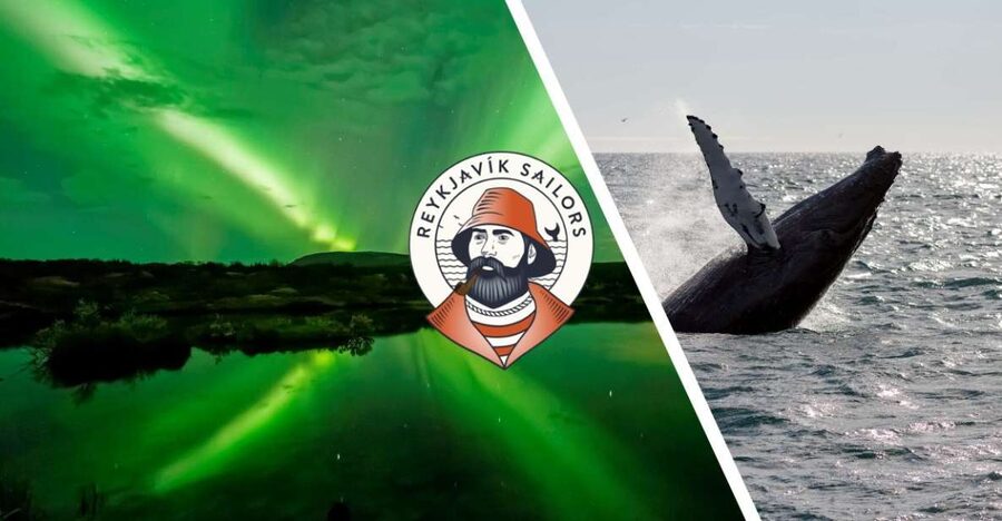 Reykjavik: Whale Watching & Northern Lights Combo Cruise - Returning after dark for the aurora cruise
