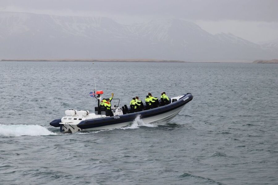 Reykjavik: Whale Watching Tour by RIB Boat - Is $194 a fair price?