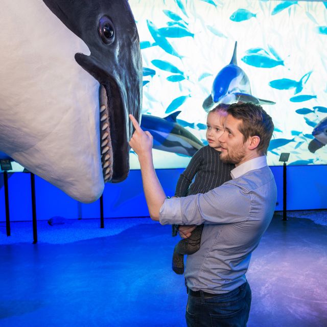 Reykjavik: Whale Watching Tour, Whales of Iceland Exhibition - What the whale search is really like