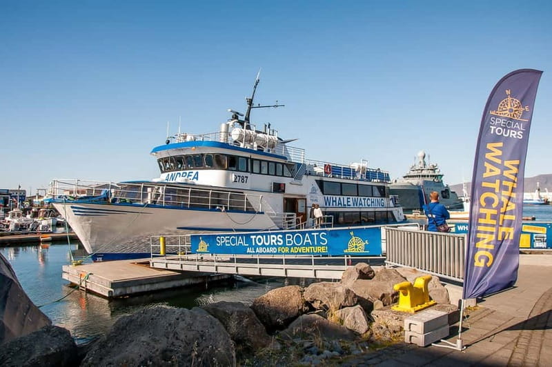 Reykjavik: Whale Watching Tour with Expert Guide - The wildlife you might spot in Faxaflói Bay