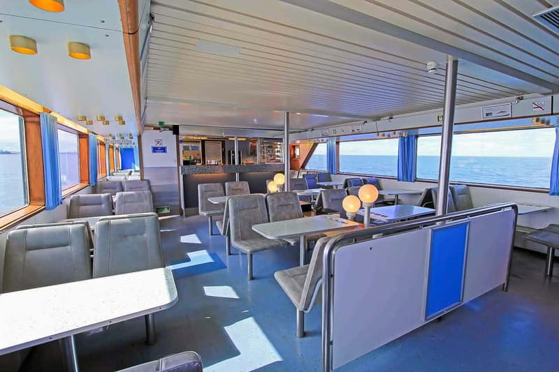 Reykjavik: Whale Watching Tour with Expert Guide - Is $87 good value?