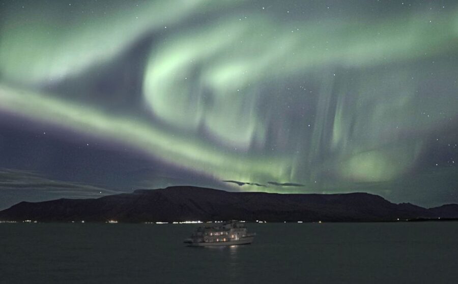 Reykjavik: Whales and Northern Lights Boat Tour - What the guide and captain add to the whale trip
