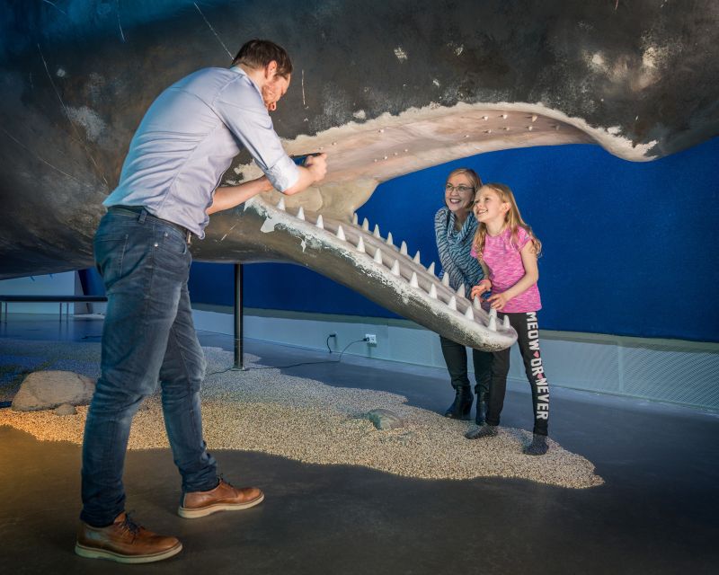 Reykjavik: Whales of Iceland Museum Entrance Ticket - Is $34 a fair price?