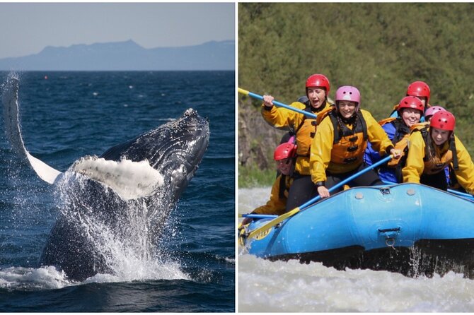 Reykjavik Whales & White Water Rafting Adventure - Changing from sea gear to river equipment