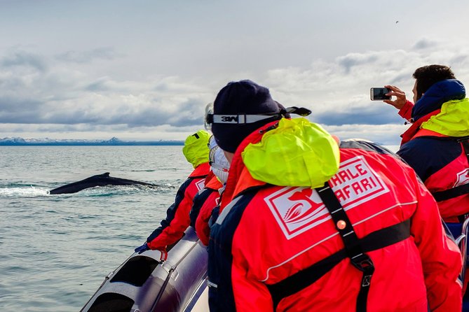 RIB Whale Watching Small-Group Boat Tour from Reykjavik - From Ægisgarður 5d to the open bay