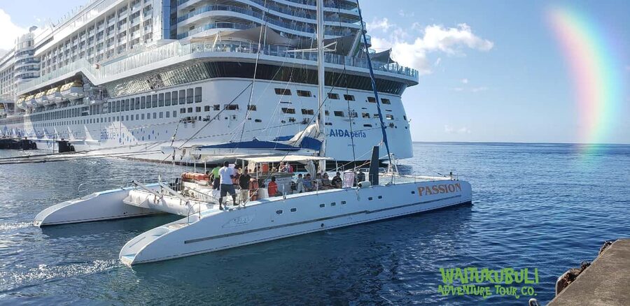 Roseau: Guided Dolphin and Whale Watching Tour With Drinks - Booking, cancellation, and what to pack