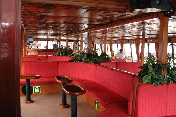 Royal Delfin - 2Hour Sustainable Dolphin & Whale Watching Mini Cruise - A two-hour trip with a few trade-offs
