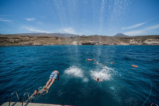 Royal Delfin 3H Dolphin & Whale Watching! Swimming & Lunch! - Diego Hernandez Bay and the swimming stop