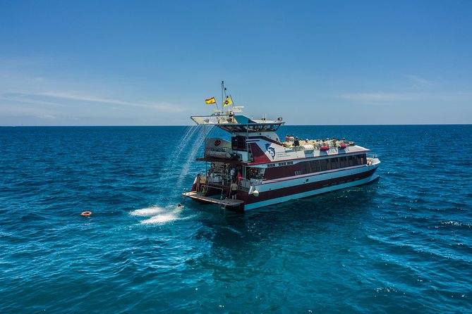 Royal Delfin 3H Dolphin & Whale Watching! Swimming & Lunch! - Lunch, sangria, beer, and soft drinks