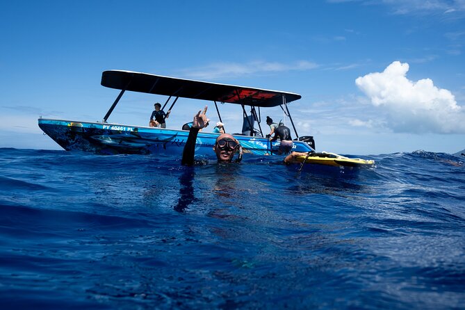 Sacred Experience Swimming with a Whale in Moorea - The briefing is more important than the swim