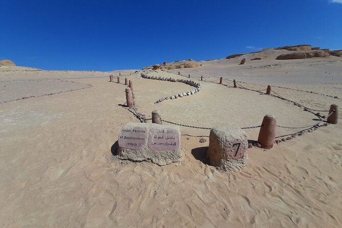 Safari pravite Day Tour to El Fayoum Oasis includes Whales Valley by 4X4 Car - Why El Fayoum makes a strong day trip from Cairo