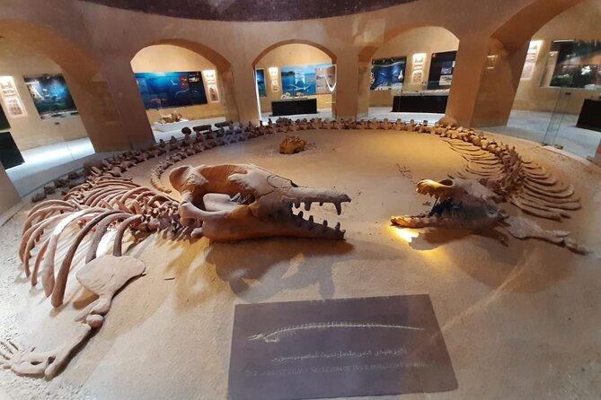 Safari pravite Day Tour to El Fayoum Oasis includes Whales Valley by 4X4 Car - Wadi El Rayan combines two lakes with waterfalls
