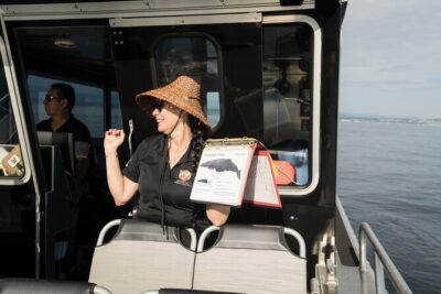 Salish Sea Whale Watching Tour in Campbell River