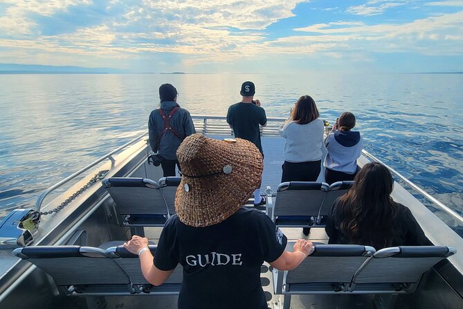 Salish Sea Whale Watching Tour in Campbell River - Planning the day around weather and cancellation rules