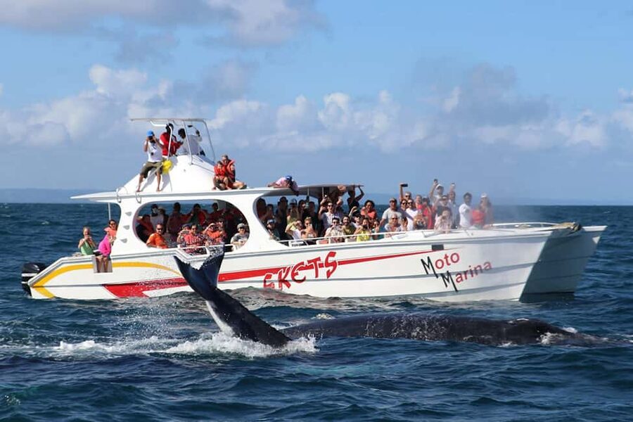 Samana: Bay of Samana Whale Watching Experience - The 30-minute ride across the bay