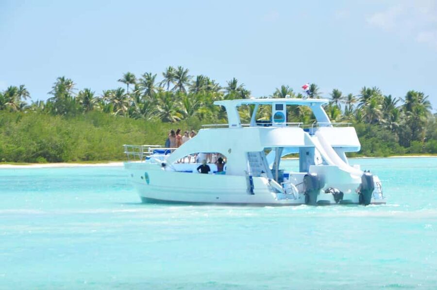Samana: Half Day Whale Watching Humpback Whale Watching - Why Samaná Bay is the star of the trip