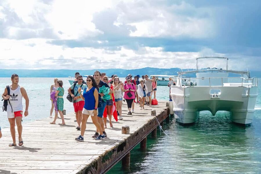 Samanà Whale Watching and Bacardi Island Tour From Bayahibe - Should you book the Bayahibe whale tour?