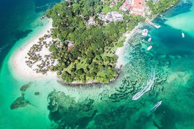 Samana Whale Watching + Cayo Levantado ( Bacardi Island) with Lunch by Locals - Key points to know before booking