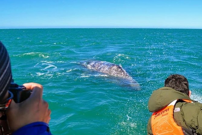 Samana Whale Watching + Cayo Levantado ( Bacardi Island) with Lunch by Locals - Lunch brings a local break