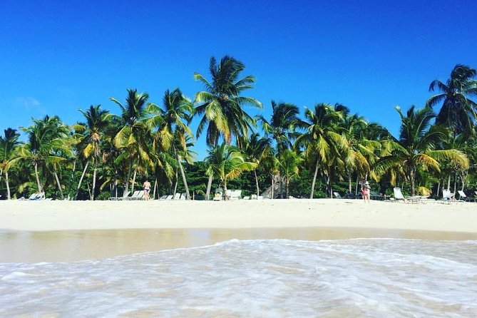 Samaná Whale Watching plus Cayo Levantado Bacardi Island - Who Will Enjoy This Half-Day Trip