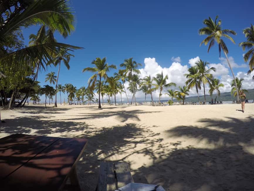 Samana: Whale Watching Tour - How the day feels from start to finish