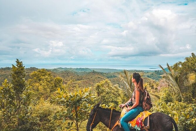 Samaná Whale Watching, waterfall & Cayo Levantado Adventure - Who Will Get the Most from This Samana Trip