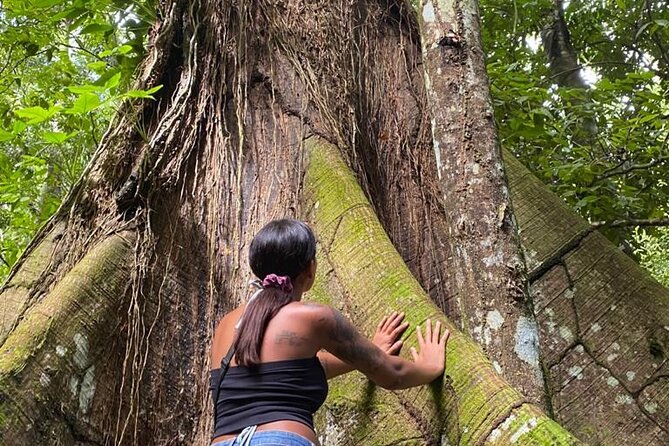 Samaná Whale Watching, waterfall & Cayo Levantado Adventure - Riding Through the Jungle to El Limon Waterfall