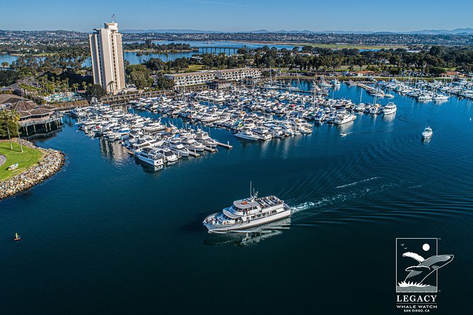 San Diego: 3 Hour Whale Watching Cruise - Dolphins may be the real highlight