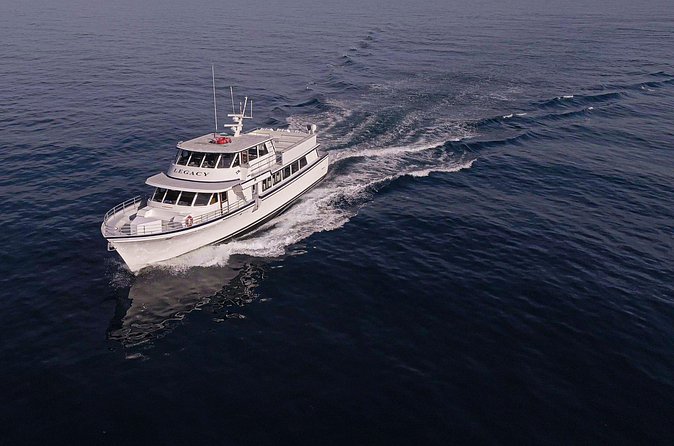 San Diego: 3 Hour Whale Watching Cruise - Who will enjoy this cruise most?