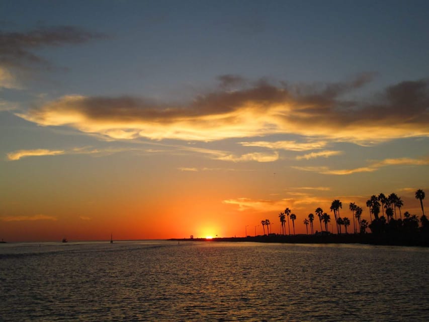 San Diego: Dolphin and Whale-Watching Sunset Cruise - Whale sightings depend on timing and luck