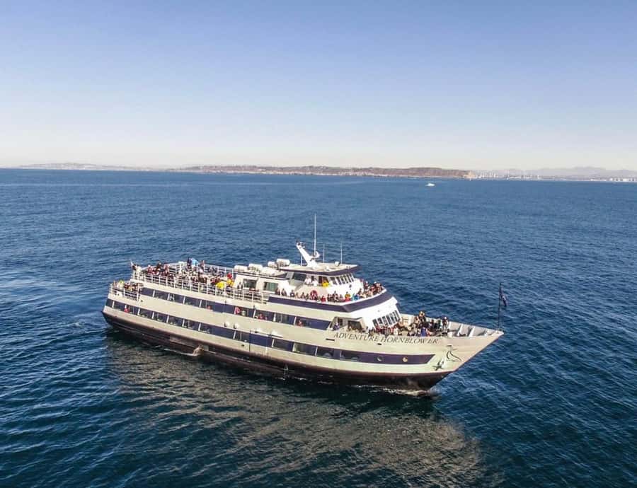 San Diego: Whale and Dolphin Watching Cruise - From Pier 2 to the open Pacific
