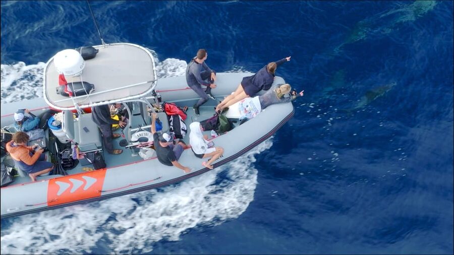San Diego: Whale and Dolphin Watching Speedboat Tour - Booking flexibility and practical details