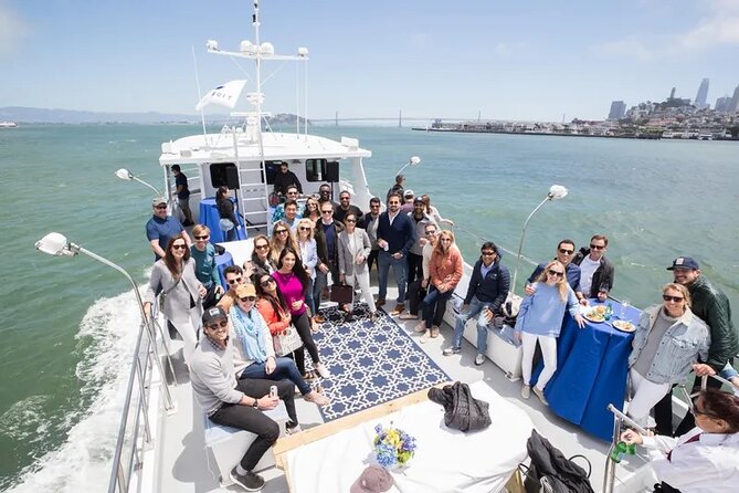 San Diego Whale/Dolphin Watching Cruise Aboard Luxury Vessel - Sea lions, seabirds, and smaller surprises