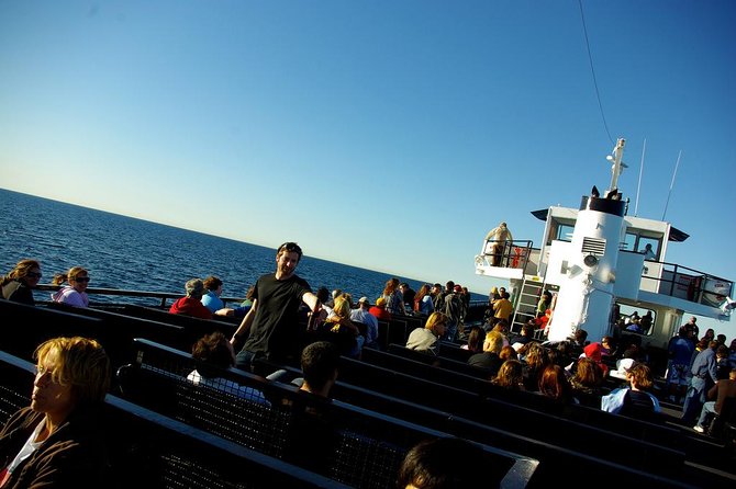 San Diego Whale Watching Cruise - Dolphins, sea lions, and the rest of the ocean show