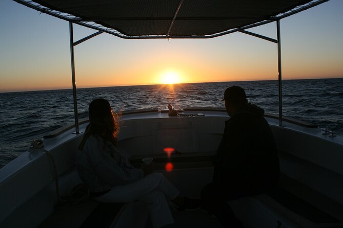 San Jose del Cabo Small-Group Sunrise Whale Watching - What the two-hour outing actually focuses on