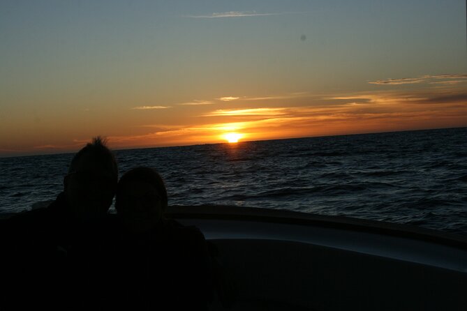San Jose del Cabo Small-Group Sunrise Whale Watching - The whales you may see from December through April