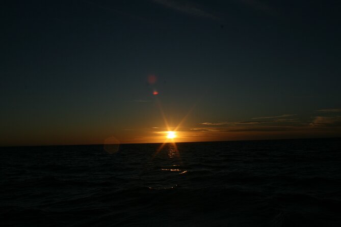 San Jose del Cabo Small-Group Sunrise Whale Watching - Practical details at the meeting point