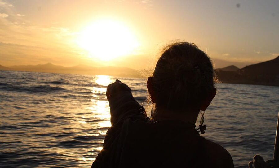 San Jose del Cabo Sunset Whale Watching - Key points at a glance