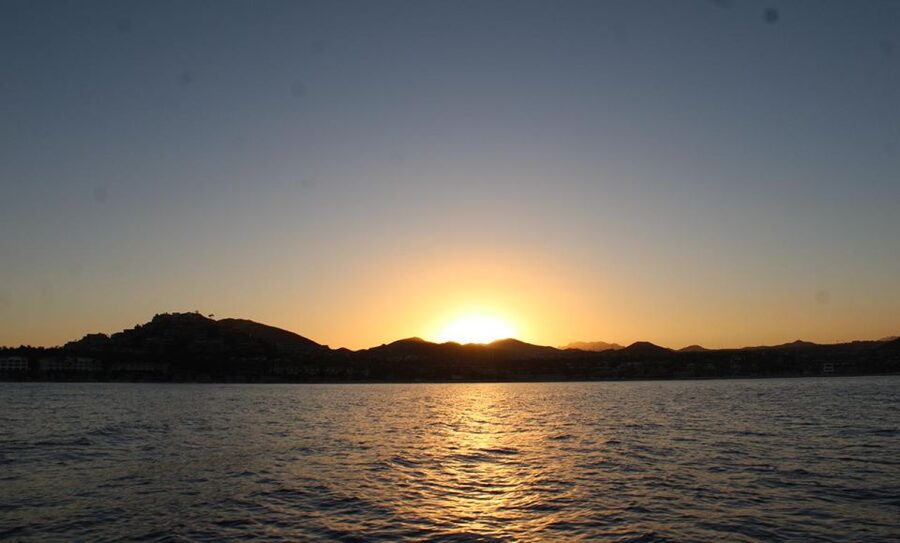 San Jose del Cabo Sunset Whale Watching - Sunset whale watching in San Jose del Cabo