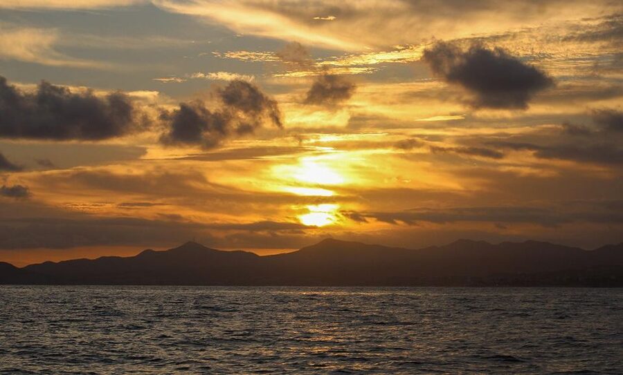 San Jose del Cabo Sunset Whale Watching - Why twilight can be worth the trade-off