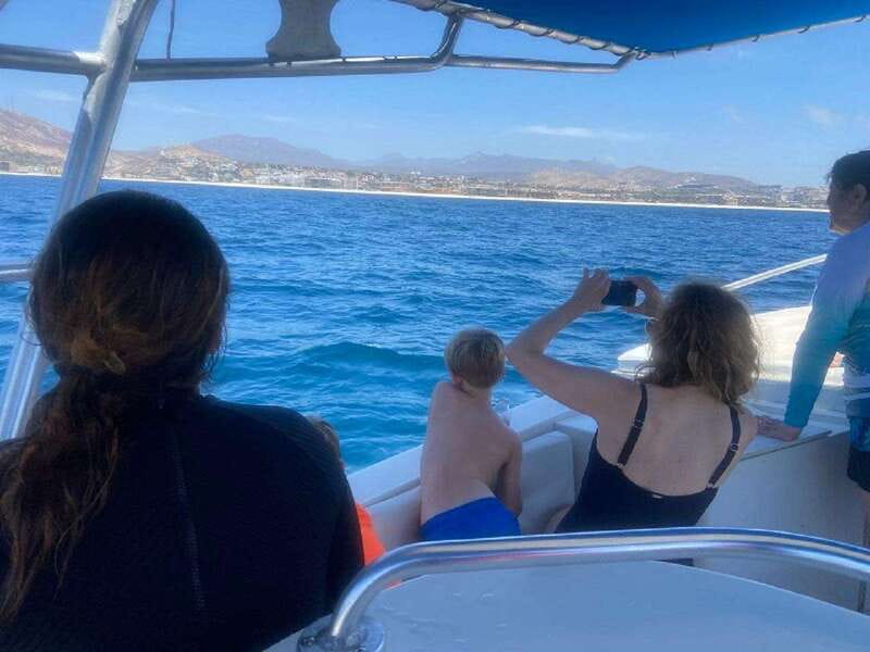 San José del Cabo: Whale Watching Experience - Practical Details Before You Go
