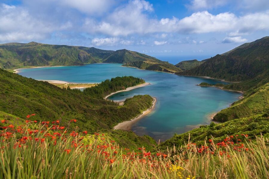 São Miguel: Whales & Volcano Full-Day Tour with Lunch - What lunch adds to the long day