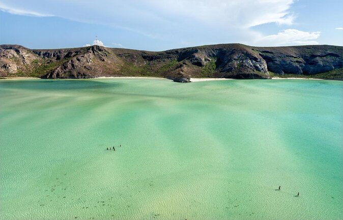 Sea of Cortez Combo: Whale Sharks, Sea Lions & Balandra Beach - Key points at a glance